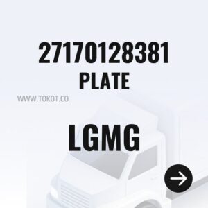 LGMG PLATE 27170128381 - Genuine Mining Truck Part