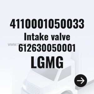 LGMG Intake valve 612630050001 4110001050033 - Genuine Mining Truck Part