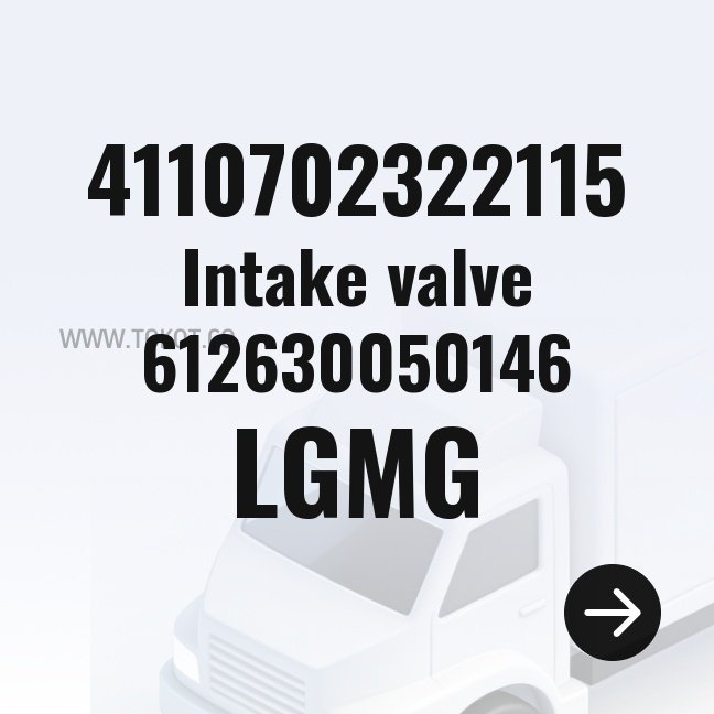 LGMG Intake valve 612630050146 4110702322115 - Genuine Mining Truck Part
