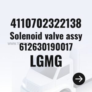 LGMG Solenoid valve assy 612630190017 4110702322138 - Genuine Mining Truck Part